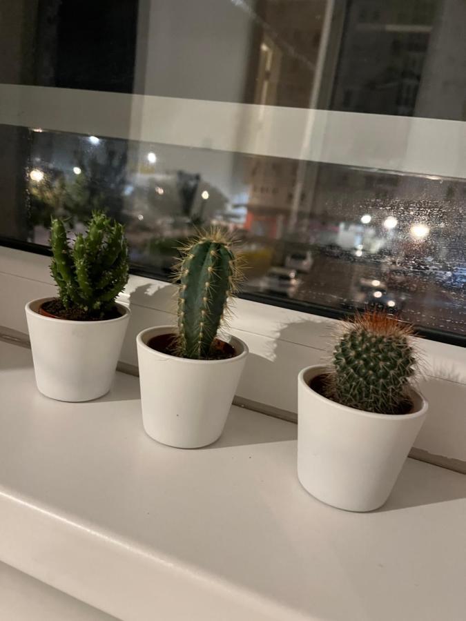 Studio Ana Belville Belgrad Zewnętrze zdjęcie