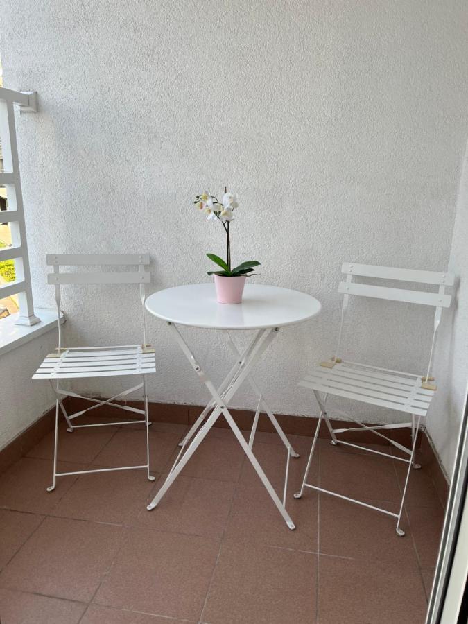 Studio Ana Belville Belgrad Zewnętrze zdjęcie